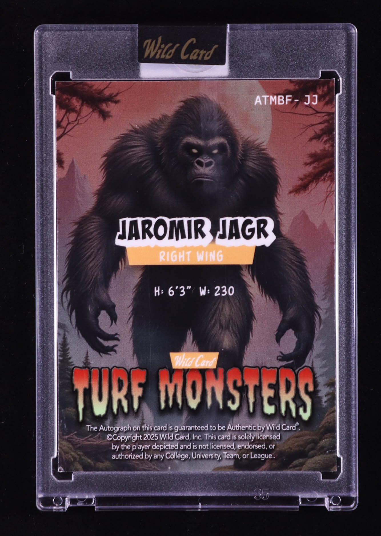 Jaromír Jágr 2025 Wild Card Turf Monsters Autographs – Red Cross Hatch #ATMBFJJ