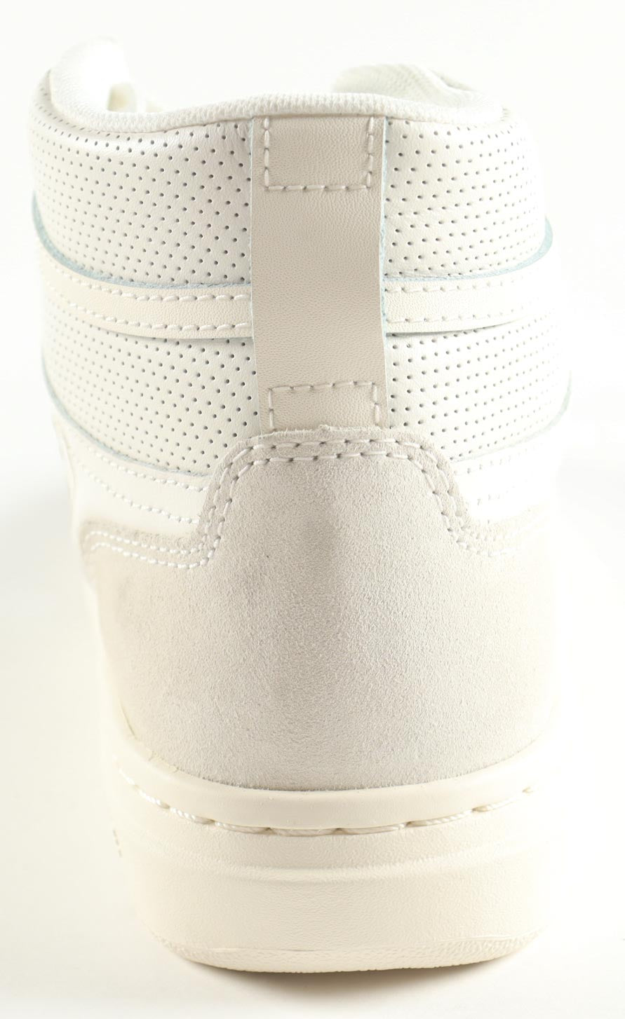 Authentic Larry Bird Autographed Converse All-Star White Leather Shoe Display PSA COA