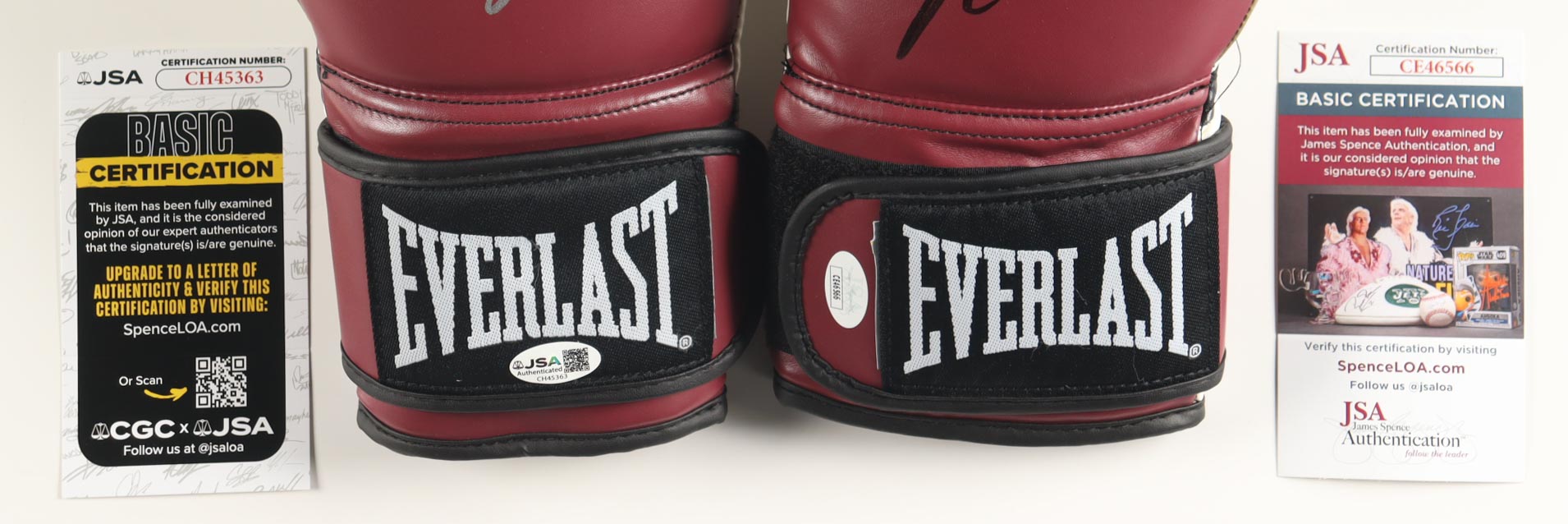 Julio Cesar Chavez, Marco Antonio Barrera & Erik Morales Autographed Everlast Boxing Gloves | Triple Signed w/ Display Case | JSA Certified
