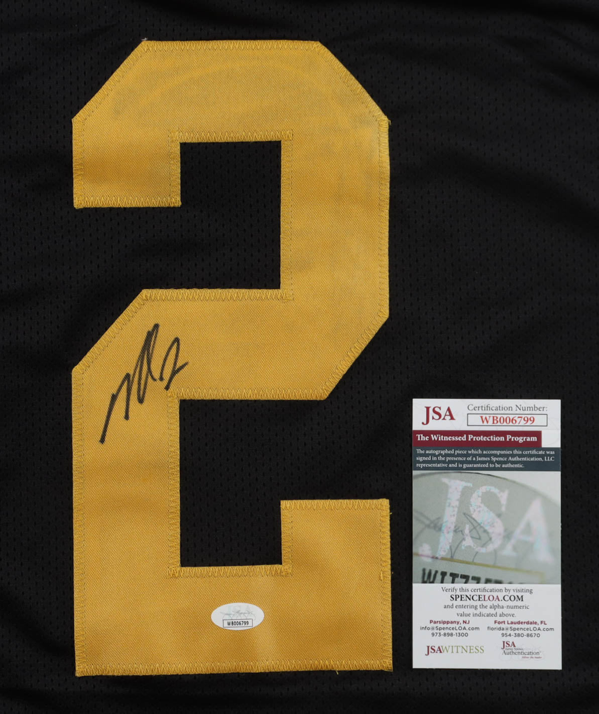 Michael Vick Steelers Signed Jersey